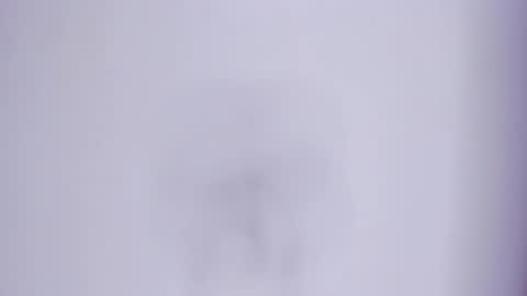 zafira online show from 7, 3, 2026