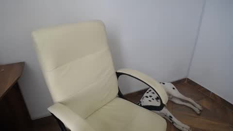 KAAL online show from 12, 12, 2024