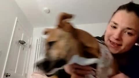 KENDAL Kaylee online show from 12, 2, 2025