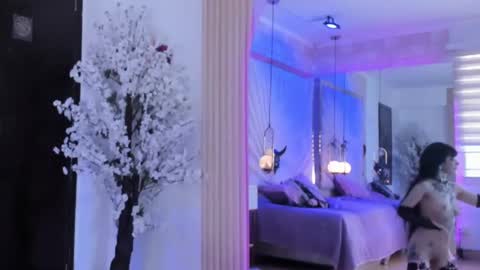    online show from 27, 2, 2025