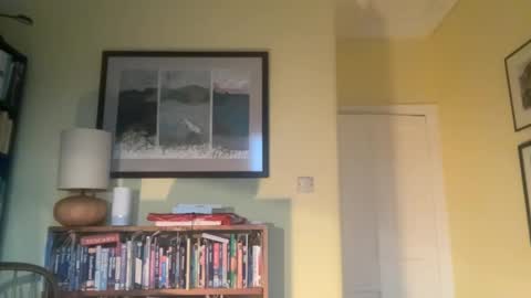 zephr1 online show from 10, 12, 2024