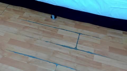 zia online show from 21, 2, 2025