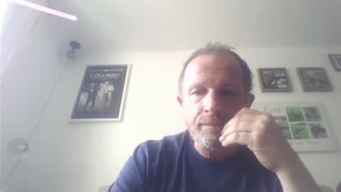 Zippi online show from 14, 7, 2026