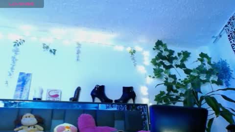 zoemi online show from 19, 1, 2025