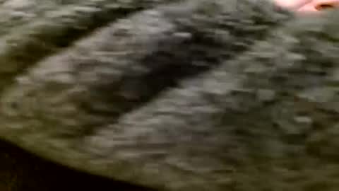 zolexthomas online show from 28, 1, 2025