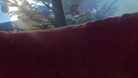 Velesk online show from 8, 12, 2024