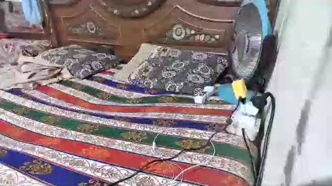 Snapshot of zoyakhan803 chatting on 12, 2, 2026 zoyakhan803 online show from 12, 2, 2026