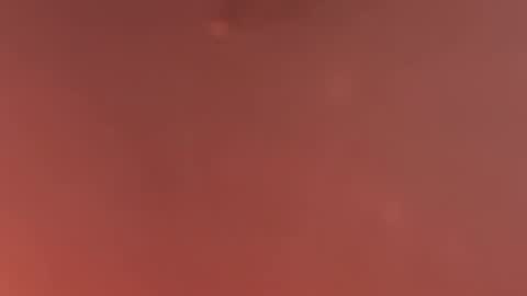 Zuckerzel online show from 12, 4, 2026