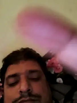 rajstrip12650 online show from 2, 3, 2025