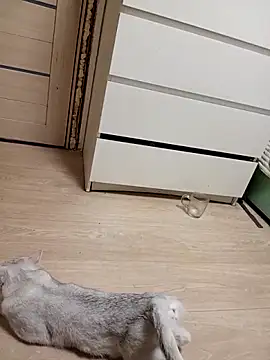 Linda Gregory online show from 18, 2, 2026