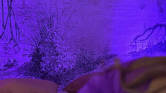 YamiraKim online show from 9, 4, 2026