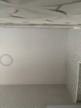 Lia flowers online show from 9, 2, 2025