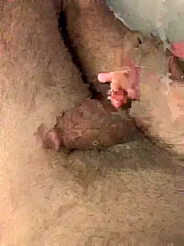 Aden P2 online show from 20, 9, 2025