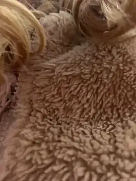 Snapshot of MessyNastyQueen chatting on 15, 12, 2024 MessyNastyQueen online show from 15, 12, 2024