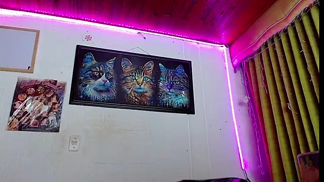 Niky 777 online show from 14, 2, 2025