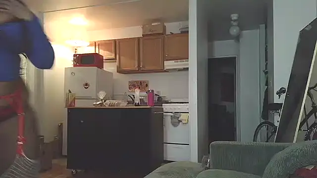 Snapshot of SiminFox chatting on 18, 12, 2025 SiminFox online show from 18, 12, 2025