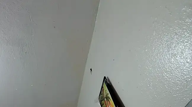 katery wok11 online show from 21, 3, 2025