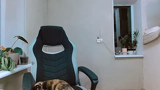 RosaJil online show from 1, 11, 2025