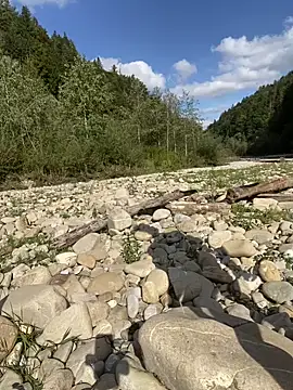 artXhibitor online show from 29, 9, 2025