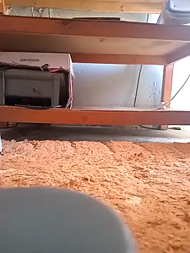 Snapshot of poloplayer123 chatting on 13, 2, 2026 poloplayer123 online show from 13, 2, 2026