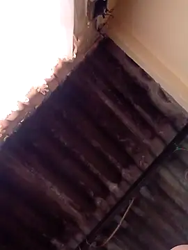 dantero online show from 13, 1, 2025