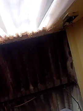 dantero online show from 27, 2, 2025