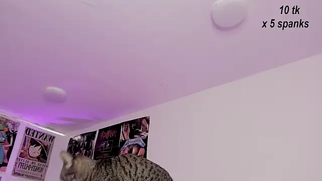 Sachi Meow online show from 26, 10, 2025