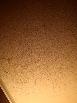 Treemandude online show from 11, 11, 2025