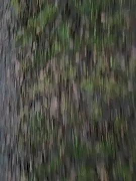 Snapshot of Przystojniak77 chatting on 20, 12, 2025 Przystojniak77 online show from 20, 12, 2025