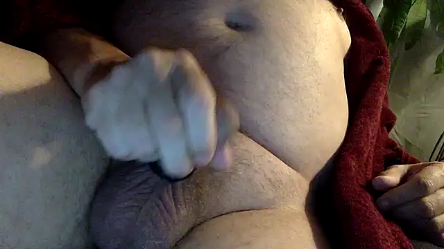 Thorandkitty online show from 8, 4, 2026