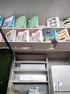 Mia Novikov online show from 14, 1, 2025