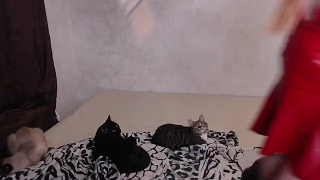 Olivia Winston online show from 30, 11, 2025