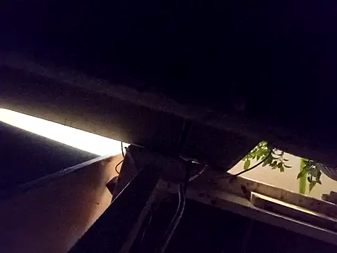 Daminou28 online show from 19, 10, 2025