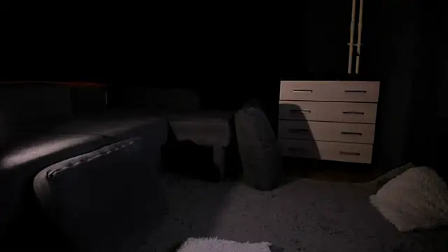 Snapshot of RODARRI chatting on 1, 4, 2026 RODARRI online show from 1, 4, 2026