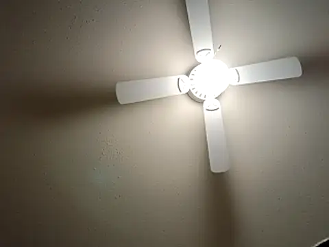 EXOTICLEXXXI online show from 23, 12, 2025