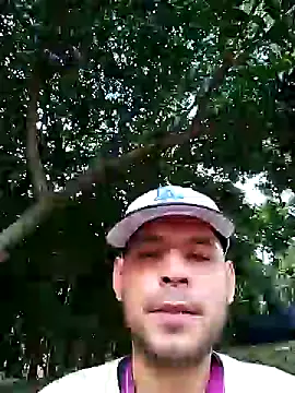 golpe888 online show from 7, 12, 2024