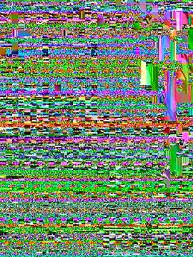 CamelliaLong online show from 8, 4, 2026