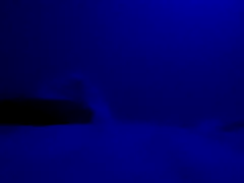 Blkstylion online show from 27, 11, 2025