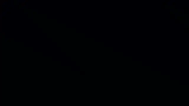 Bonkoleus online show from 2, 3, 2025