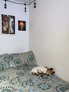 LiliJones  online show from 15, 2, 2025