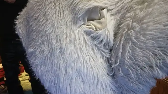 PropertyAndBiker online show from 14, 2, 2025