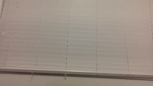 lilboygonewild online show from 14, 11, 2025