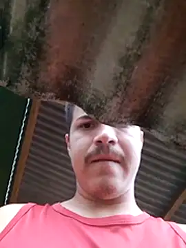 denca28 online show from 9, 3, 2026