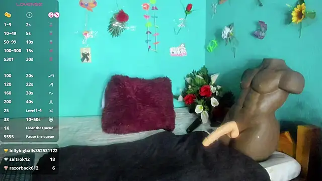 SheraHadee online show from 1, 4, 2026