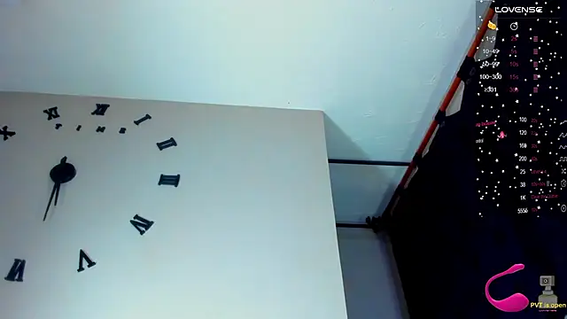 esteveen ortegas  online show from 25, 1, 2025