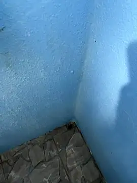 mfloressd14 online show from 8, 1, 2026