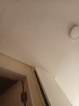 zafka 9 online show from 17, 4, 2026