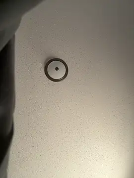 ebonyred online show from 21, 12, 2025