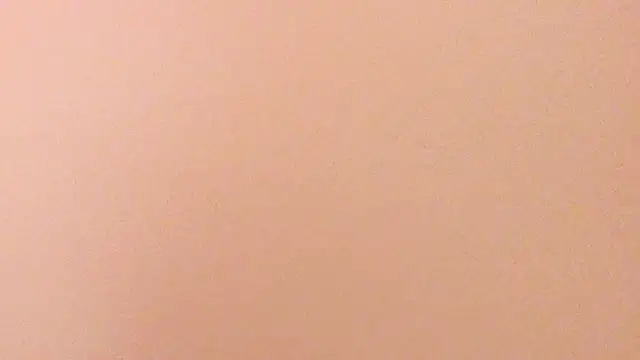 Snapshot of Alu_ryu chatting on 31, 1, 2026 Alu ryu online show from 31, 1, 2026