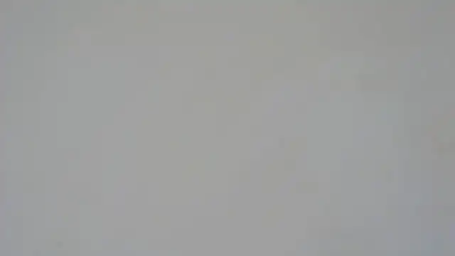 GiseleReine online show from 5, 2, 2025